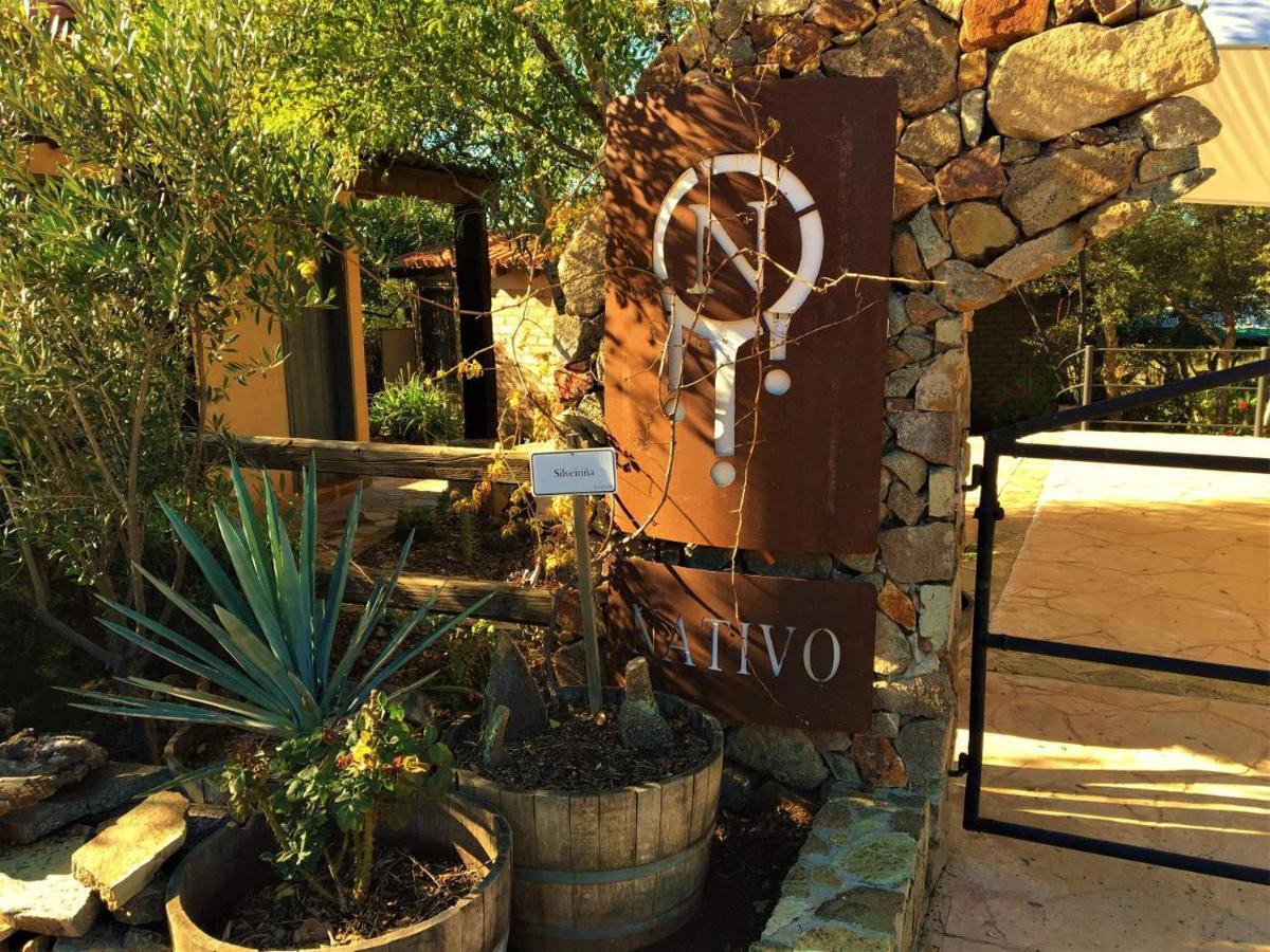 Suites Nativo - Beautiful Vineyard & Valley View Valle de Guadalupe Exterior photo